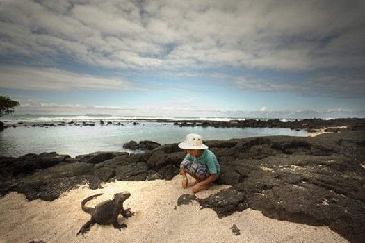 child and marine iguana.jpg